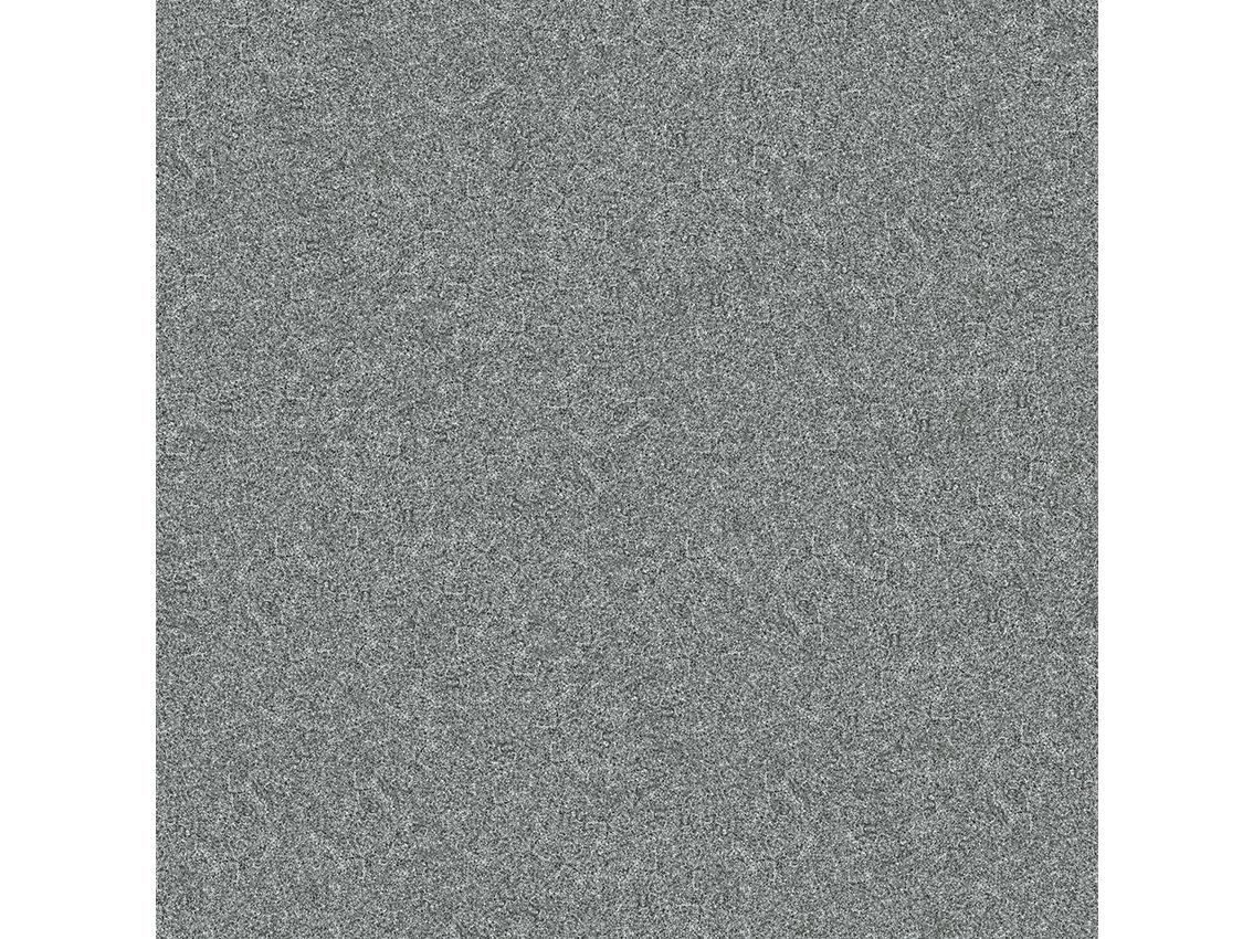 G1066020L/G1066020R